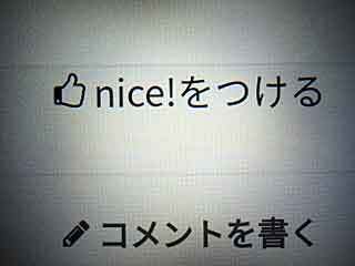 DSCN0061.jpg
