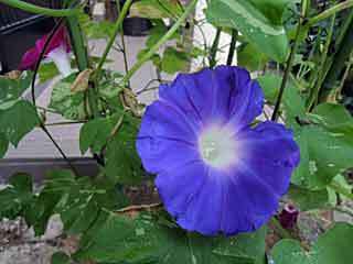 DSCN0062.jpg