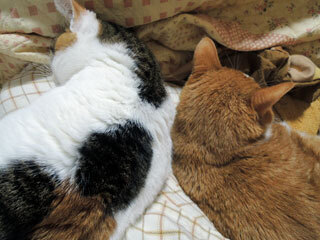 DSCN0122.jpg