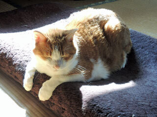 DSCN0127.jpg