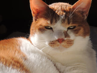 DSCN0129.jpg