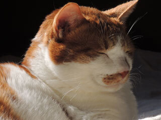DSCN0130.jpg