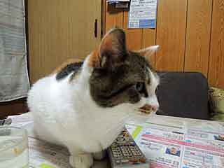 DSCN0131.jpg