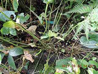 DSCN0206.jpg