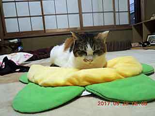 DSCN0257.jpg