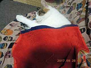 DSCN0258.jpg