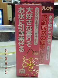 DSCN0260.jpg