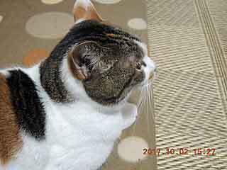 DSCN0296.jpg