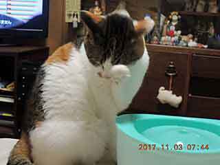 DSCN0523.jpg