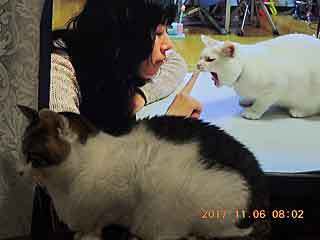 DSCN0538.jpg