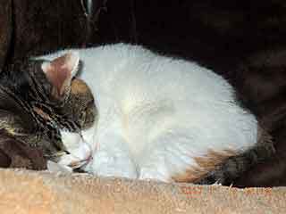 DSCN0616.JPG