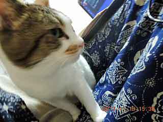 DSCN0626.JPG