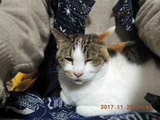 DSCN0645.JPG