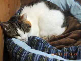 DSCN0674.JPG