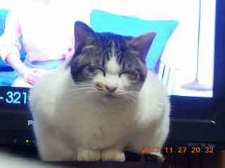 DSCN0691.JPG