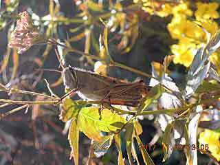DSCN0698.JPG