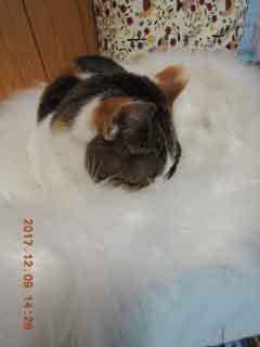 DSCN0753.JPG