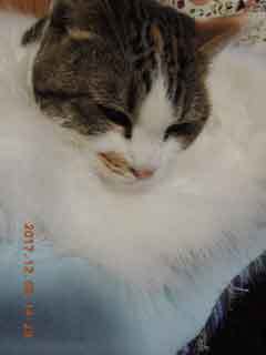 DSCN0754.JPG