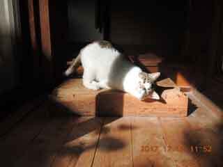 DSCN0776.JPG