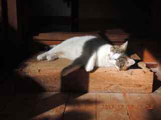 DSCN0777.JPG