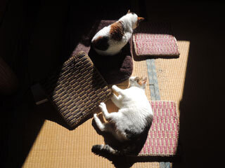 DSCN0783.jpg