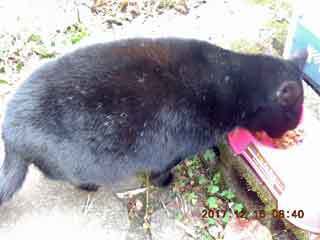 DSCN0794.JPG