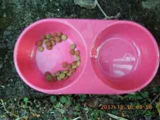 DSCN0796.JPG