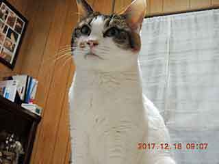 DSCN0798.JPG