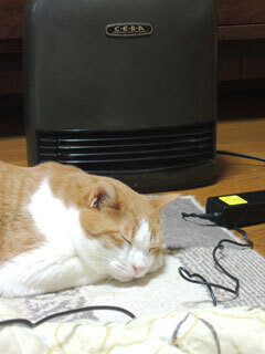 DSCN0818.jpg