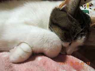 DSCN0857.JPG
