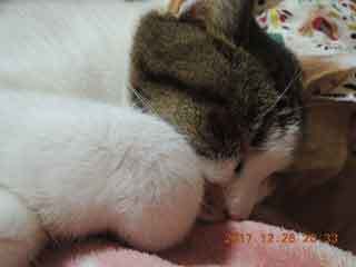 DSCN0858.JPG