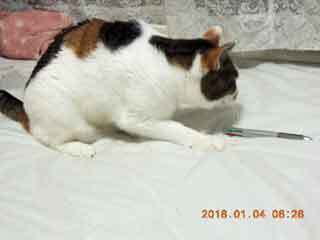 DSCN0903.JPG