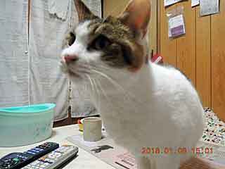 DSCN0932.JPG