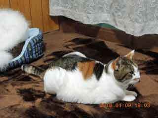 DSCN0940.JPG