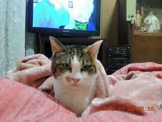 DSCN1039.JPG