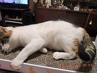 DSCN1053.JPG