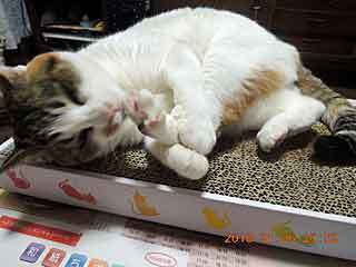 DSCN1057.JPG