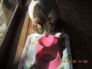 DSCN1137.JPG