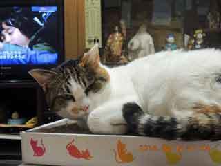DSCN1173.JPG