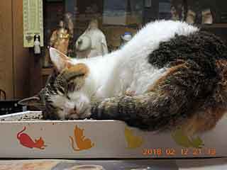 DSCN1174.JPG