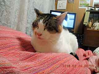 DSCN1250.JPG