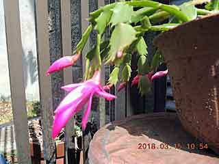 DSCN1372.JPG