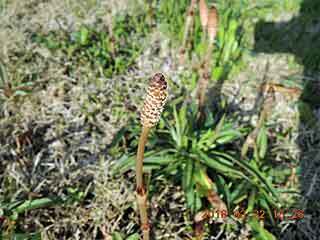 DSCN1419.JPG