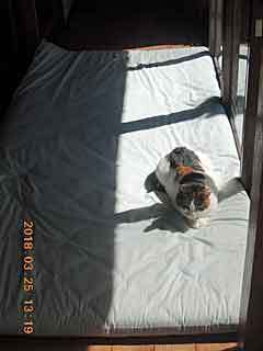 DSCN1436.JPG
