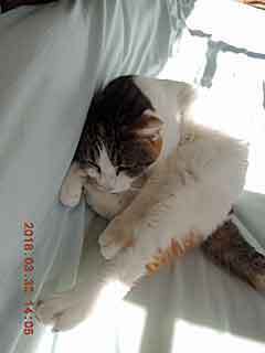 DSCN1494.JPG