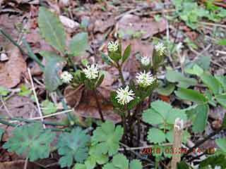 DSCN1499.JPG