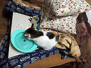 DSCN1627.JPG