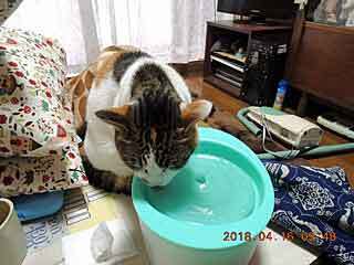 DSCN1628.JPG