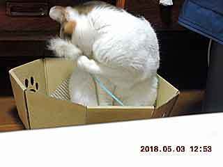 DSCN1762.JPG