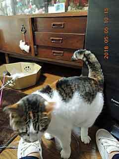 DSCN1778.JPG
